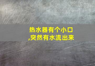 热水器有个小口,突然有水流出来