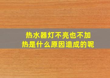 热水器灯不亮也不加热是什么原因造成的呢