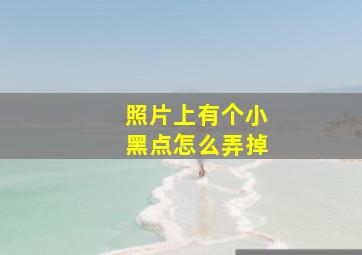 照片上有个小黑点怎么弄掉