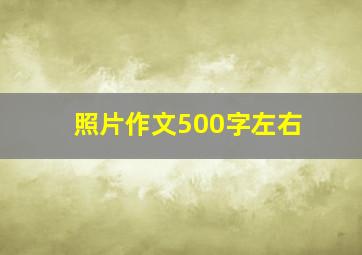 照片作文500字左右