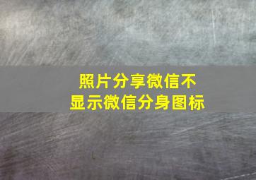 照片分享微信不显示微信分身图标