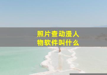 照片查动漫人物软件叫什么