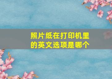 照片纸在打印机里的英文选项是哪个