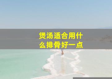 煲汤适合用什么排骨好一点