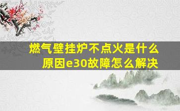 燃气壁挂炉不点火是什么原因e30故障怎么解决