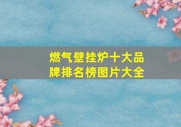 燃气壁挂炉十大品牌排名榜图片大全