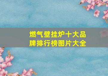 燃气壁挂炉十大品牌排行榜图片大全