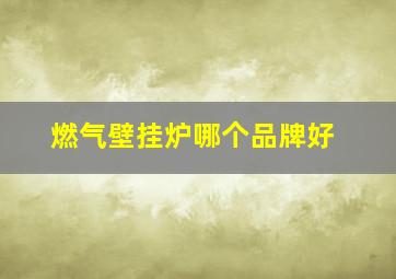 燃气壁挂炉哪个品牌好