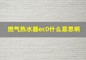 燃气热水器ec0什么意思啊