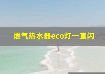 燃气热水器eco灯一直闪