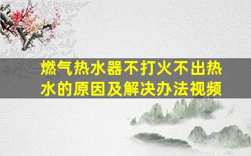 燃气热水器不打火不出热水的原因及解决办法视频