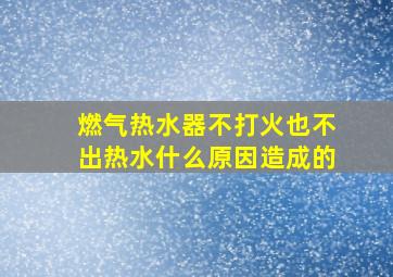 燃气热水器不打火也不出热水什么原因造成的