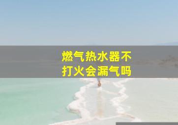 燃气热水器不打火会漏气吗