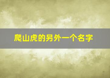 爬山虎的另外一个名字