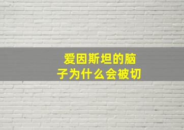 爱因斯坦的脑子为什么会被切