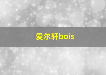 爱尔轩bois