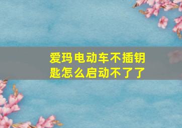 爱玛电动车不插钥匙怎么启动不了了