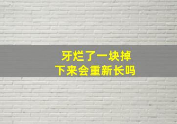 牙烂了一块掉下来会重新长吗