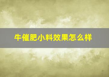 牛催肥小料效果怎么样