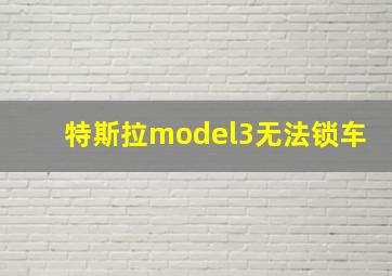 特斯拉model3无法锁车