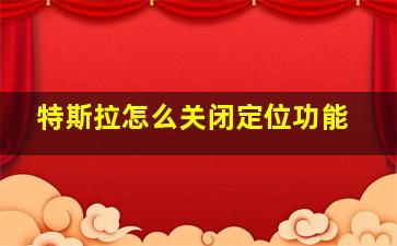 特斯拉怎么关闭定位功能