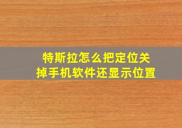 特斯拉怎么把定位关掉手机软件还显示位置