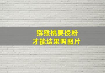 猕猴桃要授粉才能结果吗图片