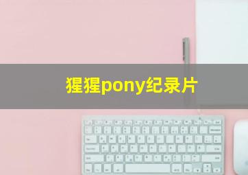 猩猩pony纪录片