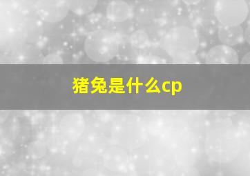 猪兔是什么cp