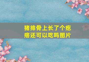 猪排骨上长了个疙瘩还可以吃吗图片