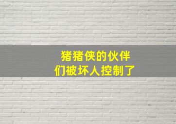 猪猪侠的伙伴们被坏人控制了