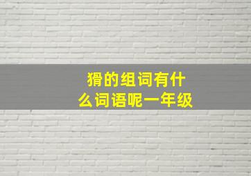 猾的组词有什么词语呢一年级