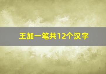 王加一笔共12个汉字