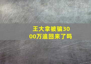 王大拿被骗3000万追回来了吗