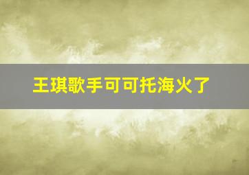 王琪歌手可可托海火了