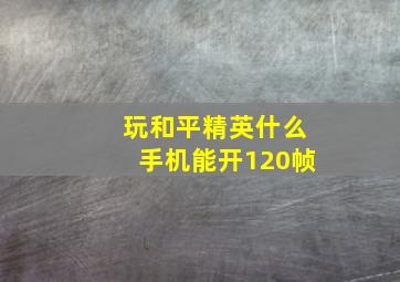 玩和平精英什么手机能开120帧