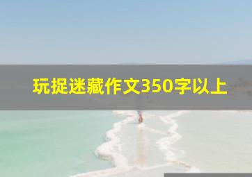 玩捉迷藏作文350字以上