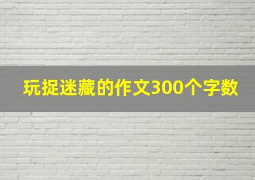 玩捉迷藏的作文300个字数