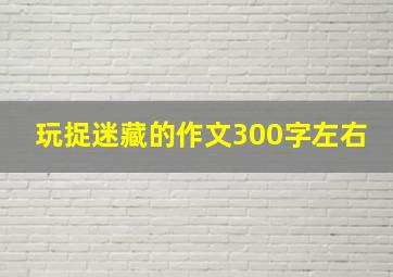 玩捉迷藏的作文300字左右