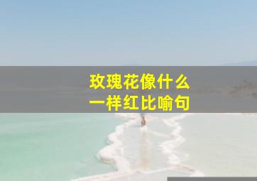 玫瑰花像什么一样红比喻句