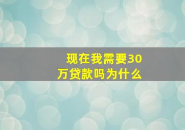 现在我需要30万贷款吗为什么