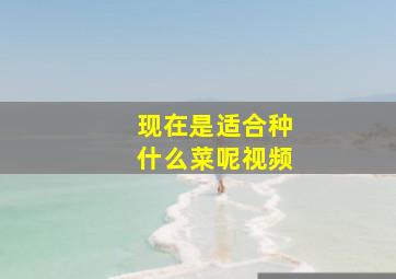 现在是适合种什么菜呢视频