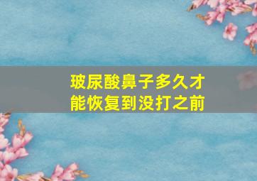 玻尿酸鼻子多久才能恢复到没打之前