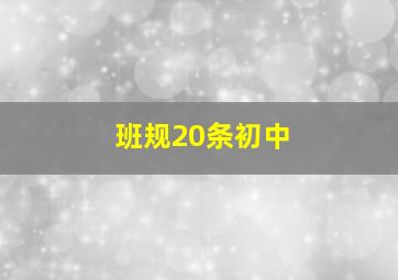 班规20条初中