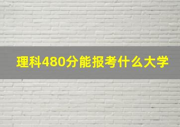 理科480分能报考什么大学