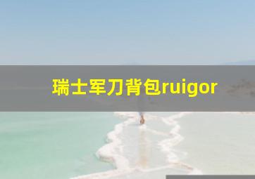 瑞士军刀背包ruigor