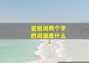 瓷组词两个字的词语是什么