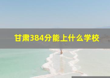 甘肃384分能上什么学校