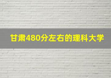 甘肃480分左右的理科大学