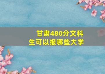 甘肃480分文科生可以报哪些大学